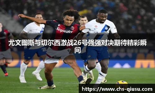 球速体育官网